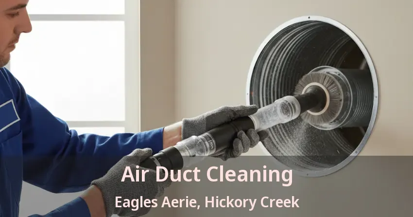 Air Duct Cleaning Eagles Aerie, Hickory Creek - TX