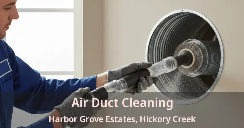 Air Duct Cleaning Harbor Grove Estates, Hickory Creek - TX