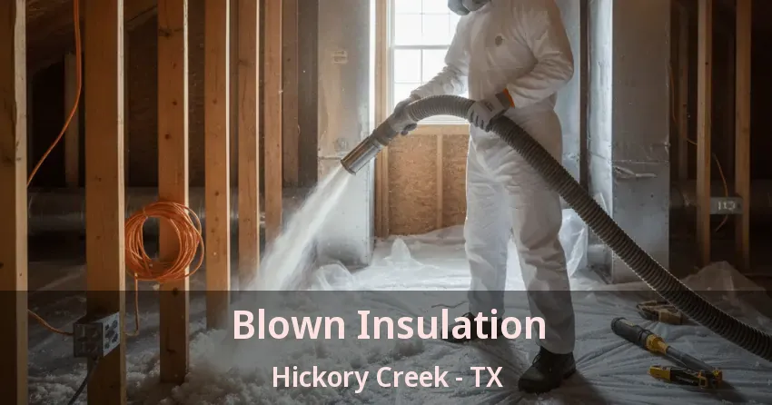 Blown Insulation Hickory Creek - TX