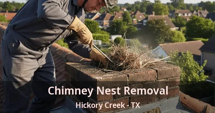 Chimney Nest Removal Hickory Creek - TX