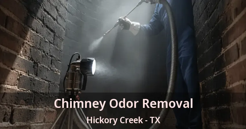 Chimney Odor Removal Hickory Creek - TX