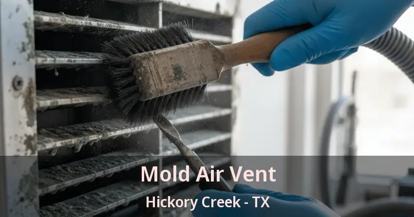 Mold Air Vent Hickory Creek - TX