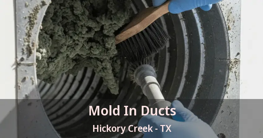 Mold In Ducts Hickory Creek - TX