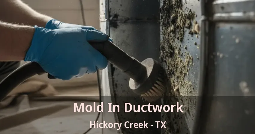 Mold In Ductwork Hickory Creek - TX
