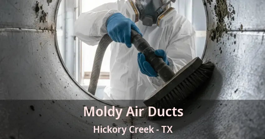 Moldy Air Ducts Hickory Creek - TX
